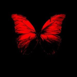 Meet your Posher, Maritza